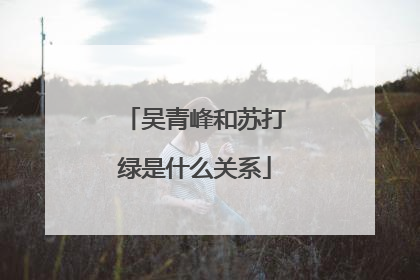 吴青峰和苏打绿是什么关系