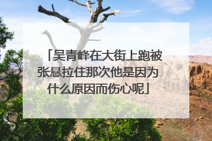 吴青峰在大街上跑被张悬拉住那次他是因为什么原因而伤心呢