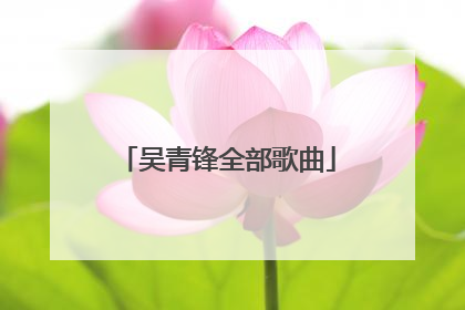 吴青锋全部歌曲
