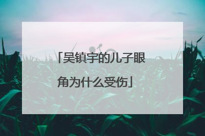 吴镇宇的儿子眼角为什么受伤