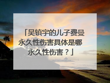 吴镇宇的儿子费曼永久性伤害具体是哪永久性伤害?