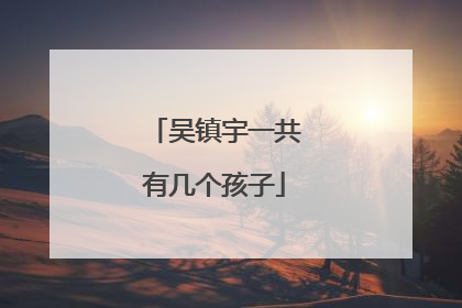 吴镇宇一共有几个孩子