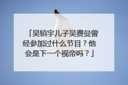 吴镇宇儿子吴费曼曾经参加过什么节目?他会是下一个视帝吗?