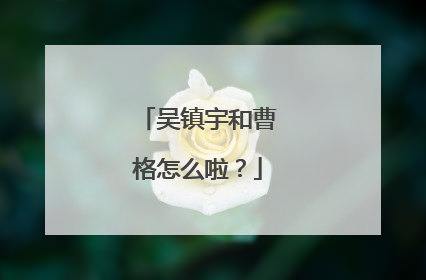 吴镇宇和曹格怎么啦?