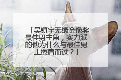 吴镇宇无缘金像奖最佳男主角,实力派的他为什么与最佳男主擦肩而过?