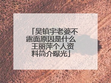 吴镇宇老婆不露面原因是什么 王丽萍个人资料简介曝光