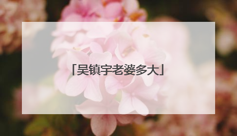 吴镇宇老婆多大