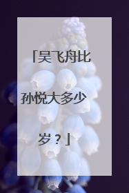 吴飞舟比孙悦大多少岁？