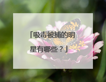 吸毒被捕的明星有哪些？