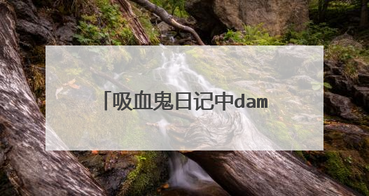 吸血鬼日记中damon的扮演者是谁？