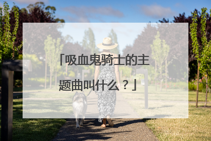 吸血鬼骑士的主题曲叫什么？