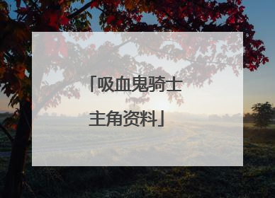 吸血鬼骑士主角资料