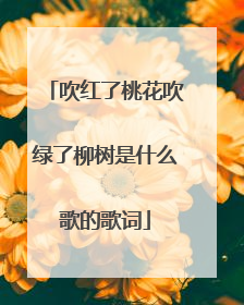 吹红了桃花吹绿了柳树是什么歌的歌词