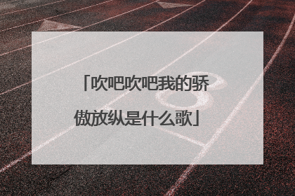 吹吧吹吧我的骄傲放纵是什么歌