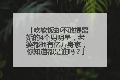吃软饭却不敢提离婚的4个男明星，老婆都拥有亿万身家，你知道都是谁吗？