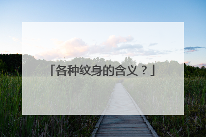 各种纹身的含义?