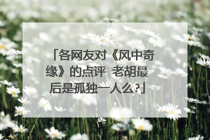 各网友对《风中奇缘》的点评 老胡最后是孤独一人么?