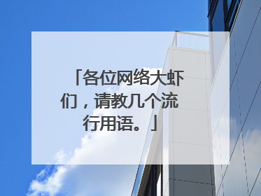 各位网络大虾们，请教几个流行用语。