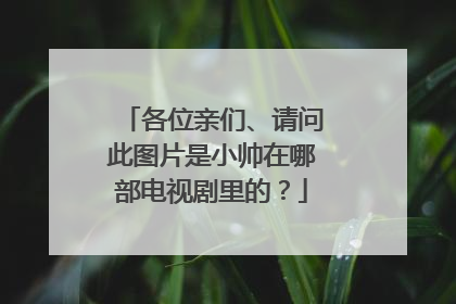 各位亲们、请问此图片是小帅在哪部电视剧里的？