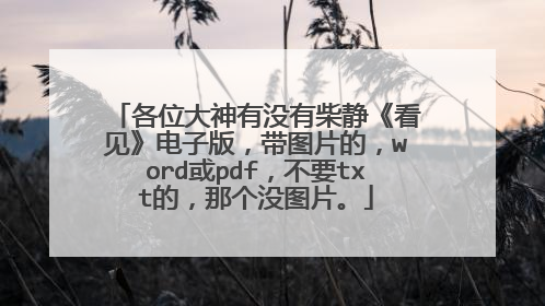 各位大神有没有柴静《看见》电子版,带图片的,word或pdf,不要txt的,那个没图片。