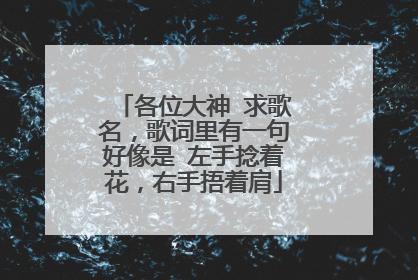 各位大神 求歌名，歌词里有一句好像是 左手捻着花，右手捂着肩