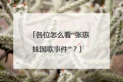 各位怎么看“张惠妹国歌事件”?