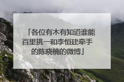 各位有木有知道谁能百里挑一和李恒建牵手的陈晓楠的微博
