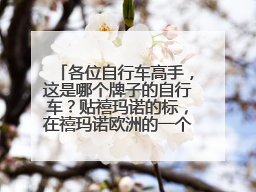 各位自行车高手,这是哪个牌子的自行车?贴禧玛诺的标,在禧玛诺欧洲的一个官网上找到的自行车图片。