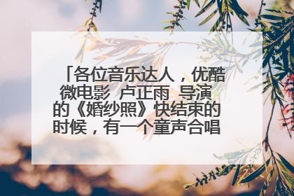 各位音乐达人，优酷微电影 卢正雨 导演的《婚纱照》快结束的时候，有一个童声合唱，是什么歌啊？