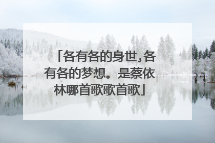 各有各的身世,各有各的梦想。是蔡依林哪首歌歌首歌