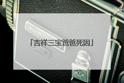 吉祥三宝爸爸死因