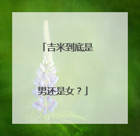 吉米到底是男还是女?