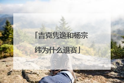 吉克隽逸和杨宗纬为什么退赛
