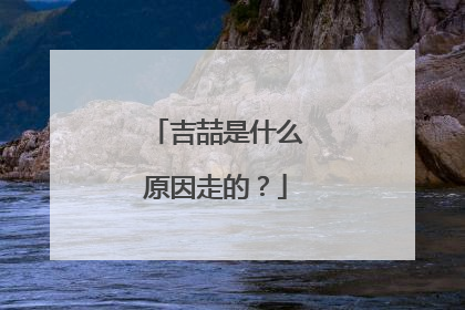 吉喆是什么原因走的？
