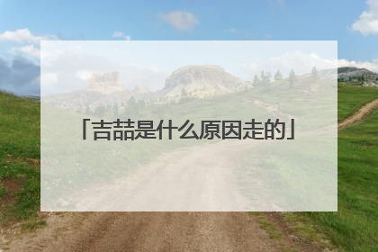 吉喆是什么原因走的