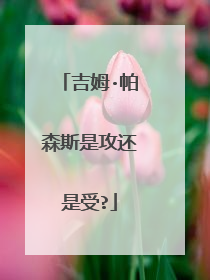 吉姆·帕森斯是攻还是受?