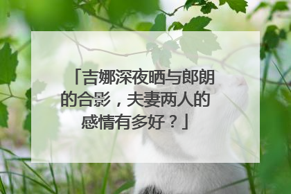 吉娜深夜晒与郎朗的合影，夫妻两人的感情有多好？