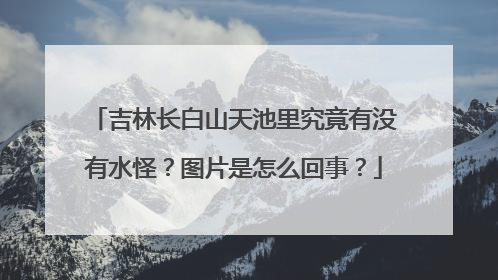 吉林长白山天池里究竟有没有水怪？图片是怎么回事？
