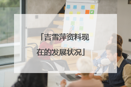 吉雪萍资料现在的发展状况