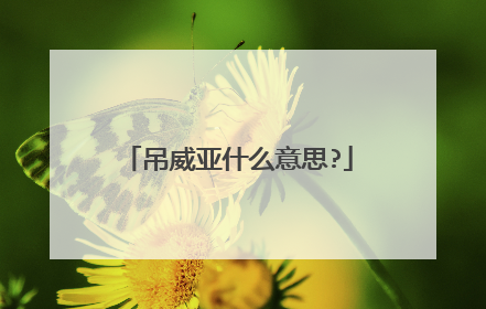 吊威亚什么意思?