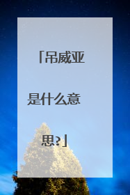 吊威亚是什么意思?