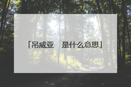 吊威亚 是什么意思