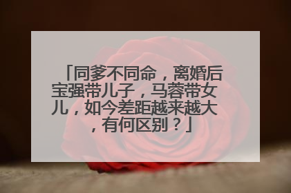 同爹不同命，离婚后宝强带儿子，马蓉带女儿，如今差距越来越大，有何区别？