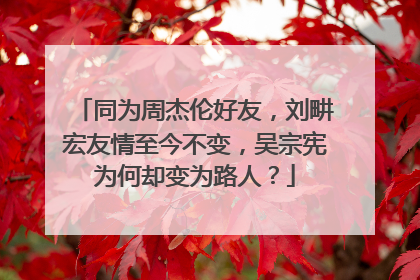 同为周杰伦好友，刘畊宏友情至今不变，吴宗宪为何却变为路人？