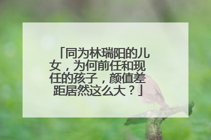 同为林瑞阳的儿女，为何前任和现任的孩子，颜值差距居然这么大？