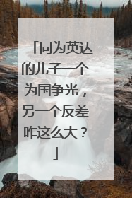 同为英达的儿子一个为国争光，另一个反差咋这么大？