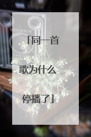 同一首歌为什么停播了