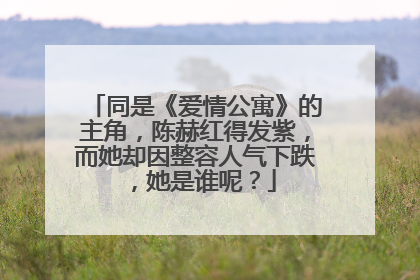 同是《爱情公寓》的主角,陈赫红得发紫,而她却因整容人气下跌,她是谁呢?