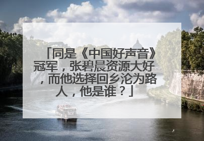 同是《中国好声音》冠军,张碧晨资源大好,而他选择回乡沦为路人,他是谁?