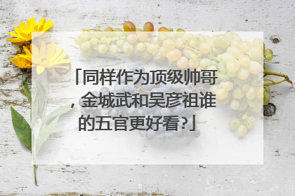 同样作为顶级帅哥，金城武和吴彦祖谁的五官更好看?